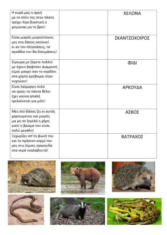 Αινίγματα ζώων που πέφτουν σε χειμερία νάρκη