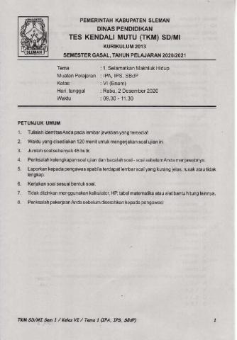 Penilaian Akhir Semester 1 Kelas 6