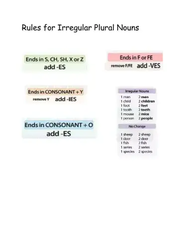 Irregular Plural Nouns