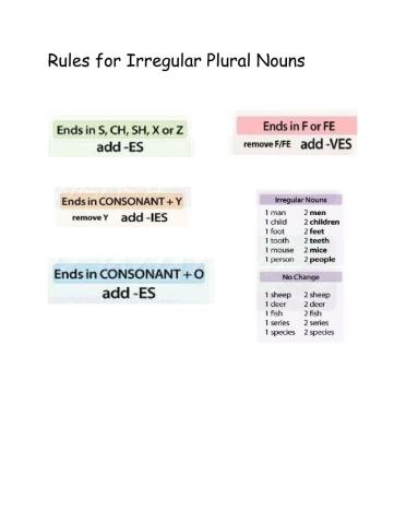 Irregular Plural Nouns