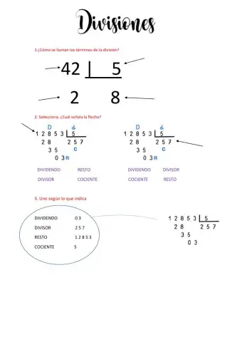 Divisiones
