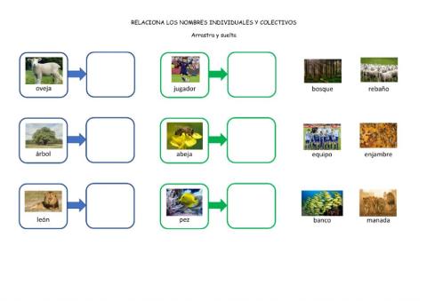 Sustantivos individuales y colectivos