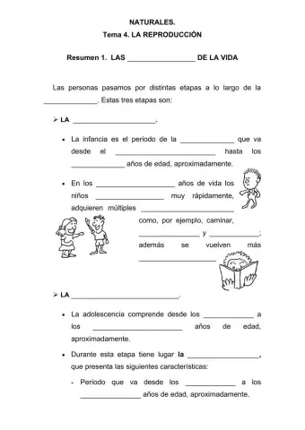 Las etapas de la vida