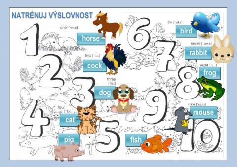 Animals and numbers to 10 - výslovnost