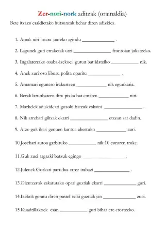 Zer-nori-nork orainaldian