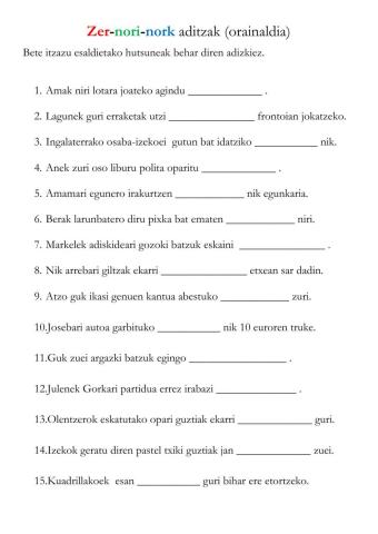 Zer-nori-nork orainaldian