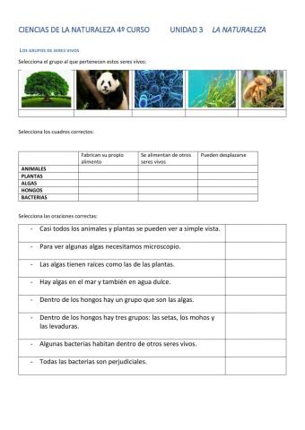 Los grupos de seres vivos