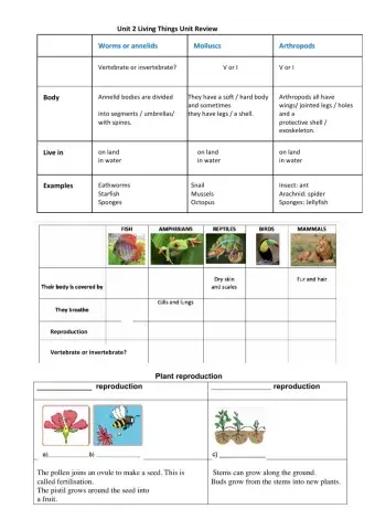 Living Things-Vertebrate and Invertebrate Animals. Plant reproduction
