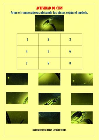 Objetos luminosos de la naturaleza