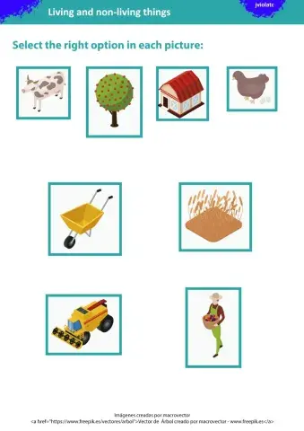 Living and non-living things