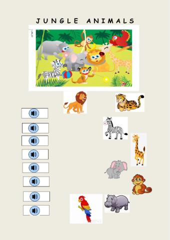 Jungle Animals