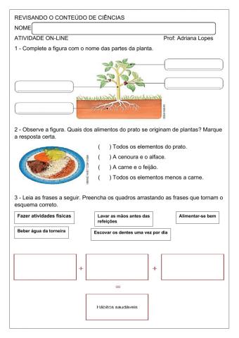 Ciências - revisão