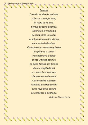 Trabajo práctico integrador