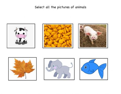 Selecting animals 1