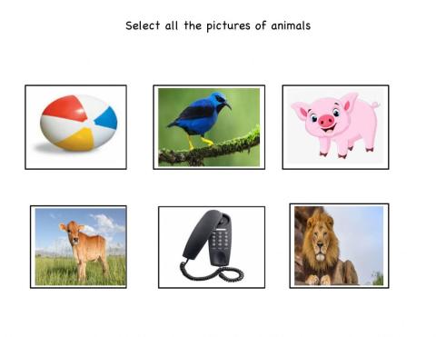 Select animals 2