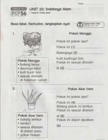 Membaca label