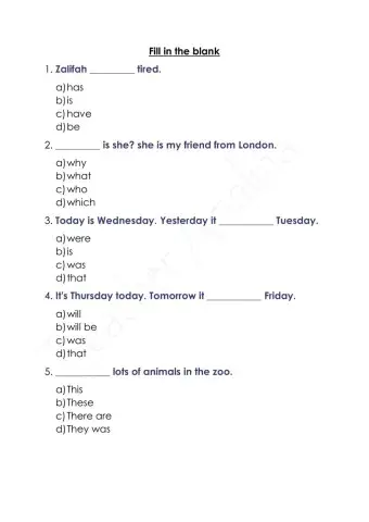 English (Special Education)