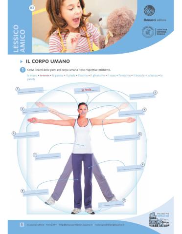 Esame il corpo umano