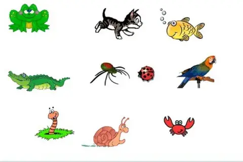 Animales vertebrados e invertebrados