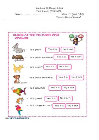 Yes,it is - No,it isn't