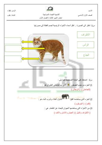 امتحان علوم