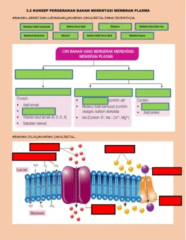 Ciri bahan merentasi membran plasma