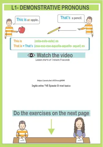 Demonstratives-this-that