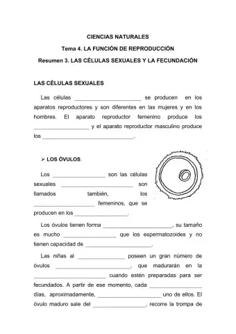 Las células sexuales y la fecundación
