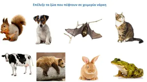 Ζώα που πέφτουν σε χειμερία νάρκη