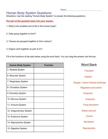 Human bodys system keywords