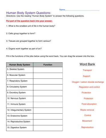 Human bodys system keywords