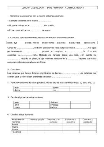 2-Control de Castellano - Tema 3