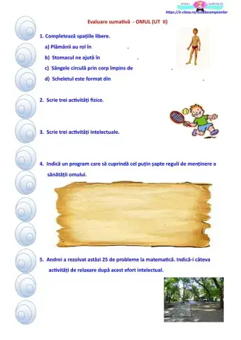 Evaluare sumativă - UT  II