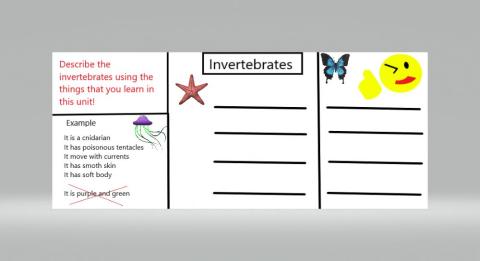 Invertebrates description part 1