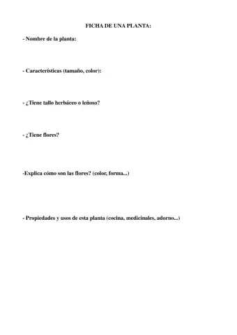 Ficha Las Plantas