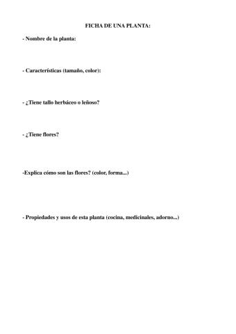 Ficha Las Plantas