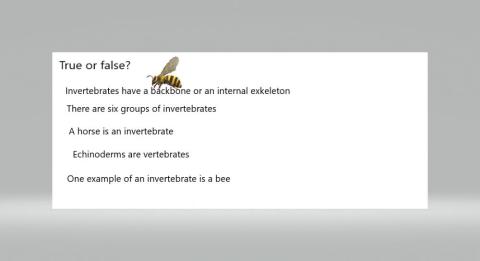 Invertebrates true or false part 2