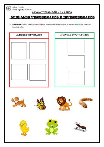 Animales vertebrados e invertebrados