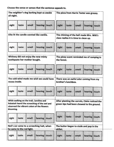 Sensory Words Practice