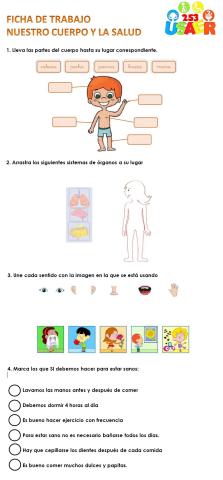 Salud y Partes del Cuerpo