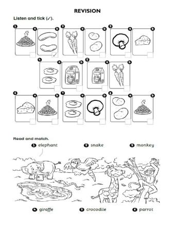 Vocabulary - End of Year Revision