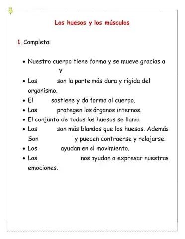 Los huesos y músculos