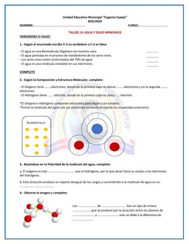 Taller: El agua y Sales Minerales