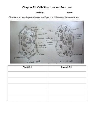 Writing Differences between Plant and Animal cells