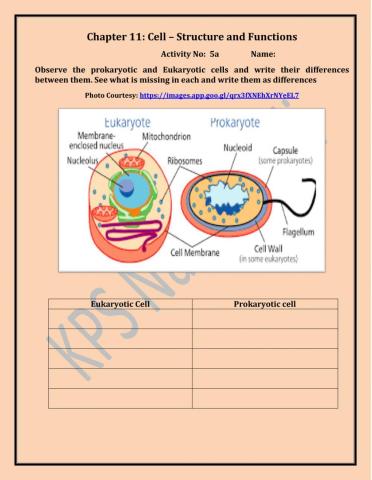 To identify differences between Prokaryotic and Eukaryotic cells