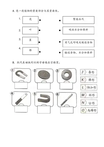 一年级科学评估