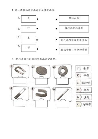 一年级科学评估