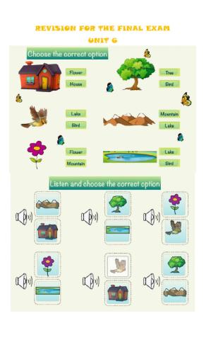 Revision for the final exam