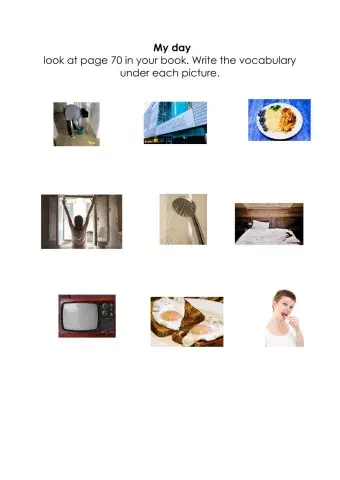 Daily Routines vocabualry