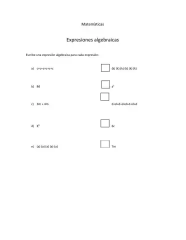 Expresiones Algebraicas